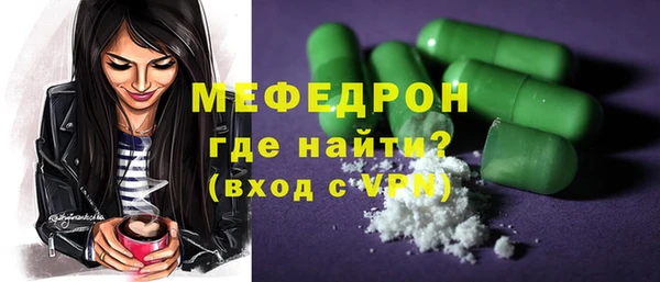 индика Елизово