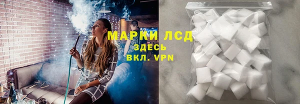 индика Елизово