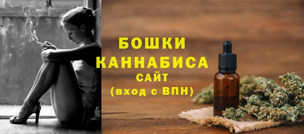 индика Елизово