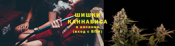 индика Елизово