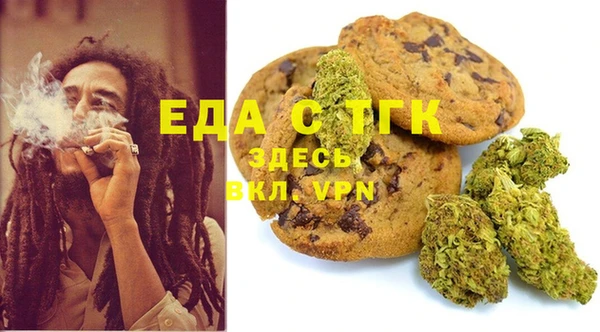 индика Елизово