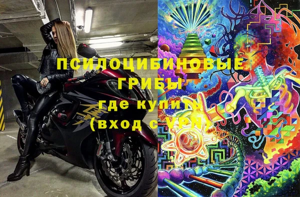 индика Елизово