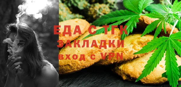 индика Елизово