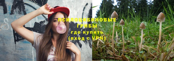 индика Елизово