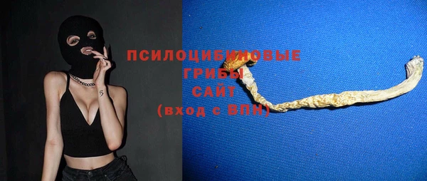 гидропоника Ельня
