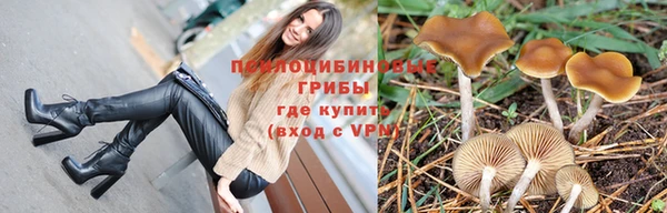 гидропоника Ельня