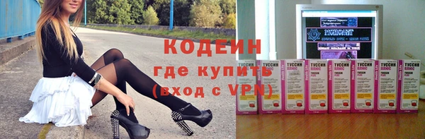 индика Елизово