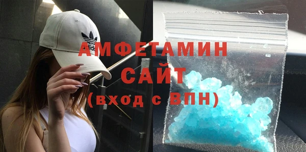 индика Елизово