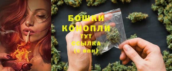 гидропоника Ельня
