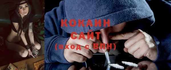 индика Елизово