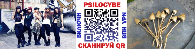 Псилоцибиновые грибы ЛСД  Купить закладки  Ясный 